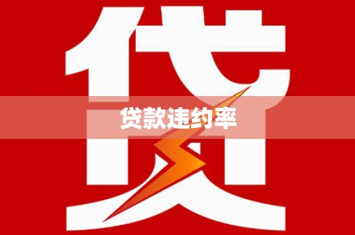 望江贷款违约率