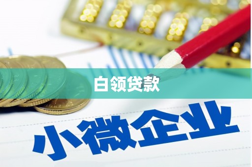 望江白领贷款