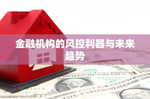 望江金融机构的风控利器与未来趋势