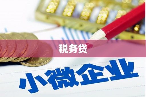 望江税务贷