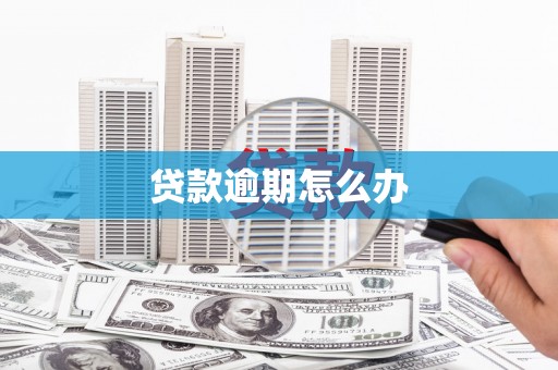 望江贷款逾期怎么办