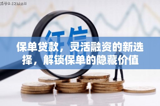 望江保单贷款，灵活融资的新选择，解锁保单的隐藏价值