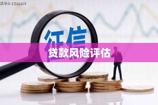 望江贷款风险评估