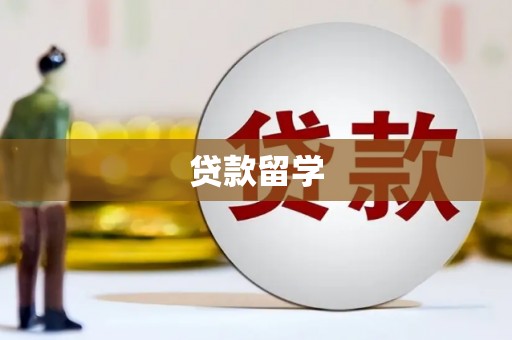 望江贷款留学