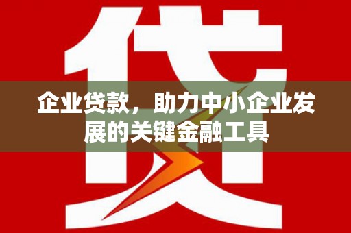 望江企业贷款，助力中小企业发展的关键金融工具