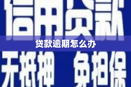 望江贷款逾期怎么办