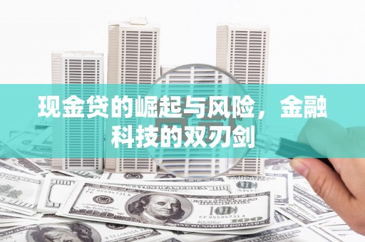 望江现金贷的崛起与风险，金融科技的双刃剑