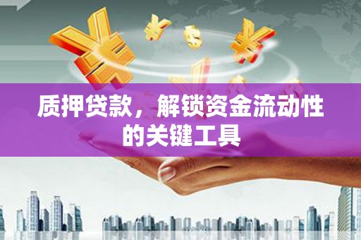 望江质押贷款，解锁资金流动性的关键工具