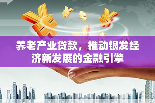 望江养老产业贷款，推动银发经济新发展的金融引擎