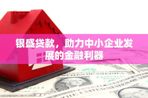 望江银盛贷款，助力中小企业发展的金融利器