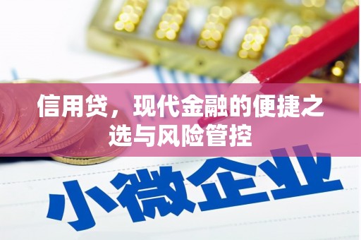 望江信用贷，现代金融的便捷之选与风险管控