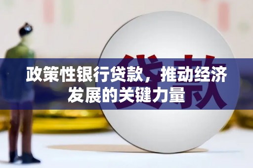 望江政策性银行贷款，推动经济发展的关键力量