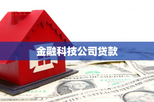 望江金融科技公司贷款