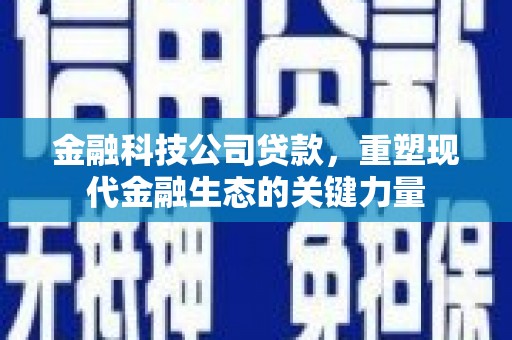 望江金融科技公司贷款，重塑现代金融生态的关键力量