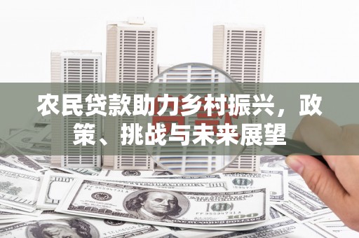 望江农民贷款助力乡村振兴，政策、挑战与未来展望