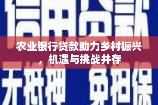 望江农业银行贷款助力乡村振兴，机遇与挑战并存