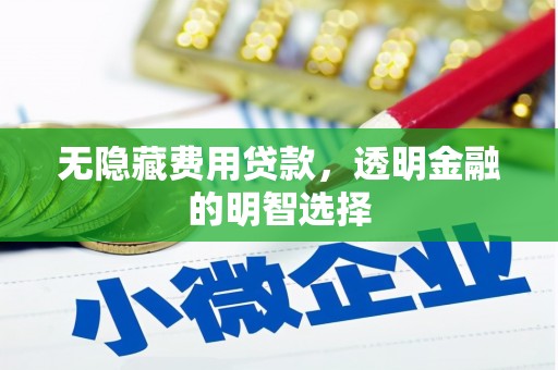 望江无隐藏费用贷款，透明金融的明智选择
