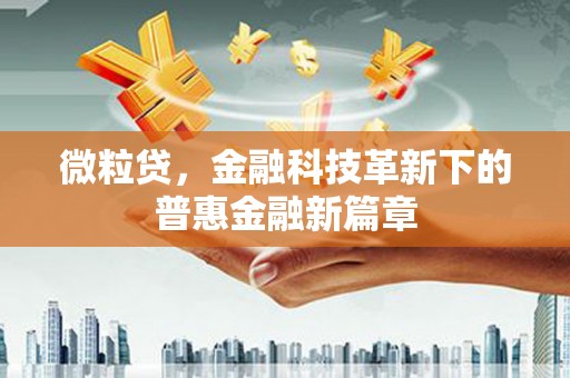 望江微粒贷，金融科技革新下的普惠金融新篇章