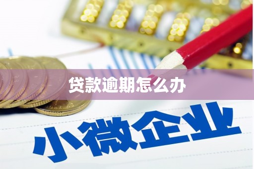 望江贷款逾期怎么办