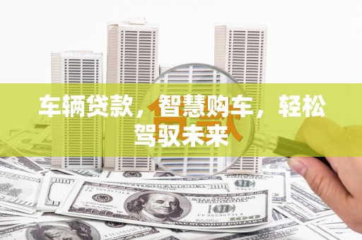 望江车辆贷款，智慧购车，轻松驾驭未来
