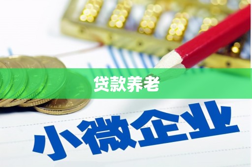 望江贷款养老
