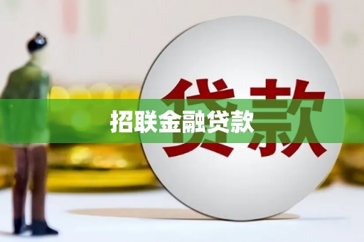 望江招联金融贷款