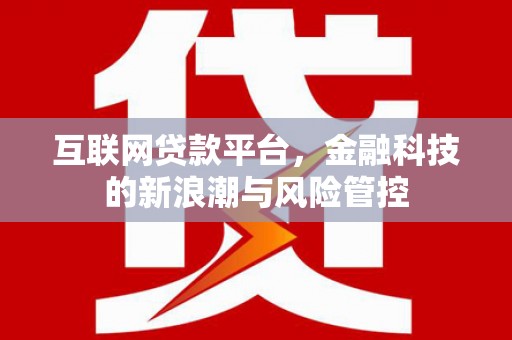 望江互联网贷款平台，金融科技的新浪潮与风险管控