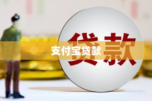 望江支付宝贷款