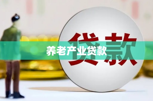 望江养老产业贷款