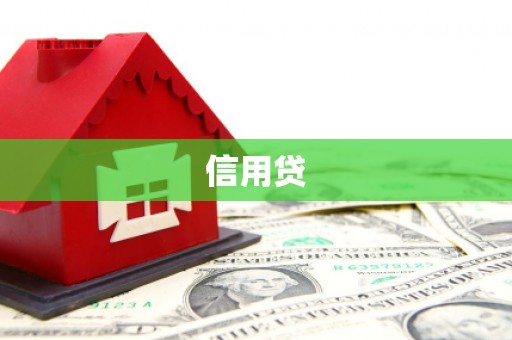 望江信用贷