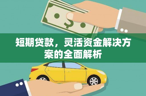 望江短期贷款，灵活资金解决方案的全面解析
