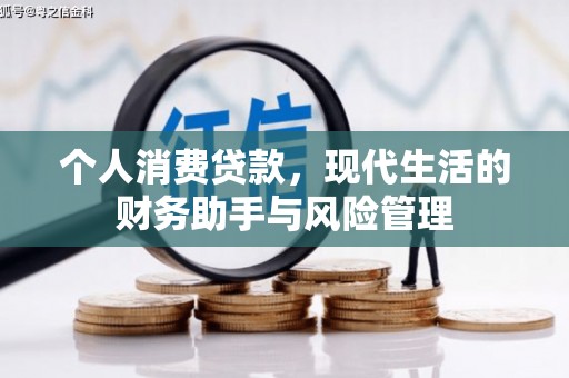 望江个人消费贷款，现代生活的财务助手与风险管理