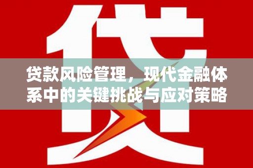 望江贷款风险管理，现代金融体系中的关键挑战与应对策略