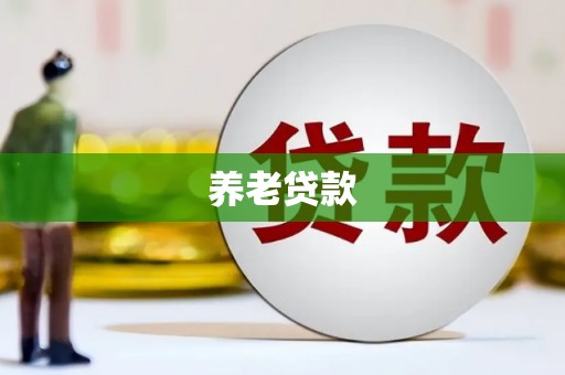 望江养老贷款