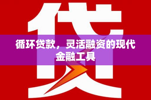 望江循环贷款，灵活融资的现代金融工具