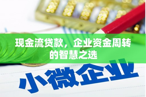 望江现金流贷款，企业资金周转的智慧之选