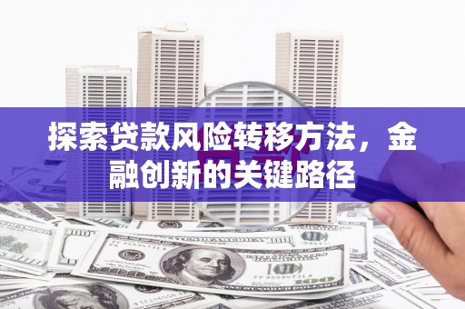 望江探索贷款风险转移方法，金融创新的关键路径