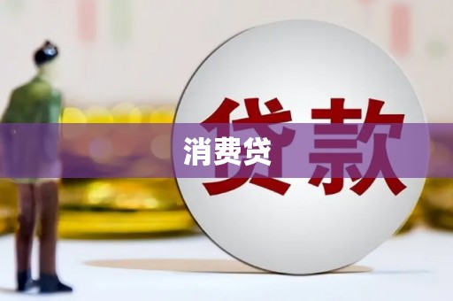 望江消费贷