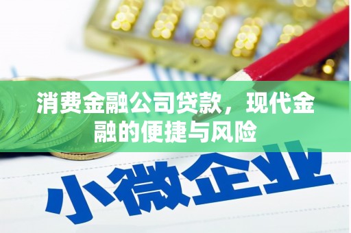 望江消费金融公司贷款，现代金融的便捷与风险