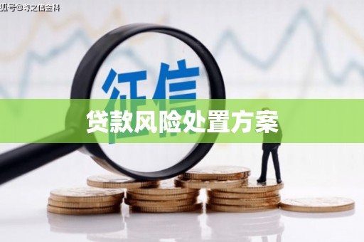 望江贷款风险处置方案