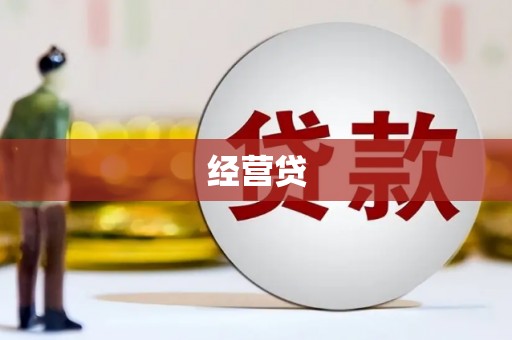 望江经营贷