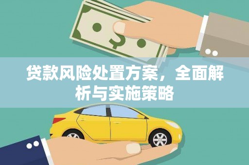 望江贷款风险处置方案，全面解析与实施策略
