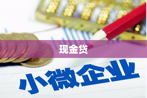 望江现金贷