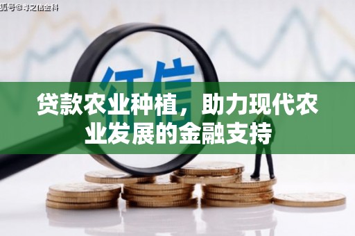 望江贷款农业种植，助力现代农业发展的金融支持