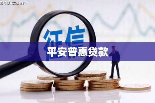 望江平安普惠贷款